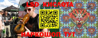 гидра Краснознаменск