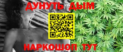 гидра Краснознаменск