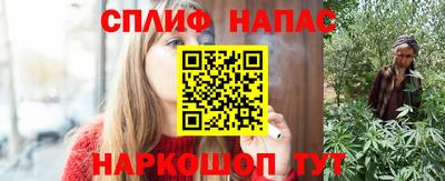 гидра Краснознаменск